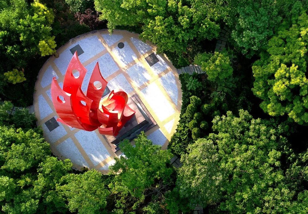 山东交通学院各专业介绍,山东交通职业学院泰山校区