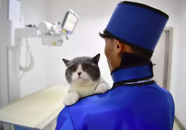 填志愿最新10种专业,高考填志愿所谓的好专业是什么