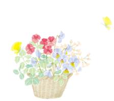 晨读读得不流利可以吗,晨读的精辟句子