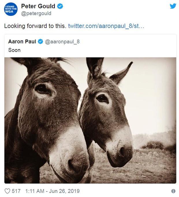 老白与小粉发推配图俩驴：快了