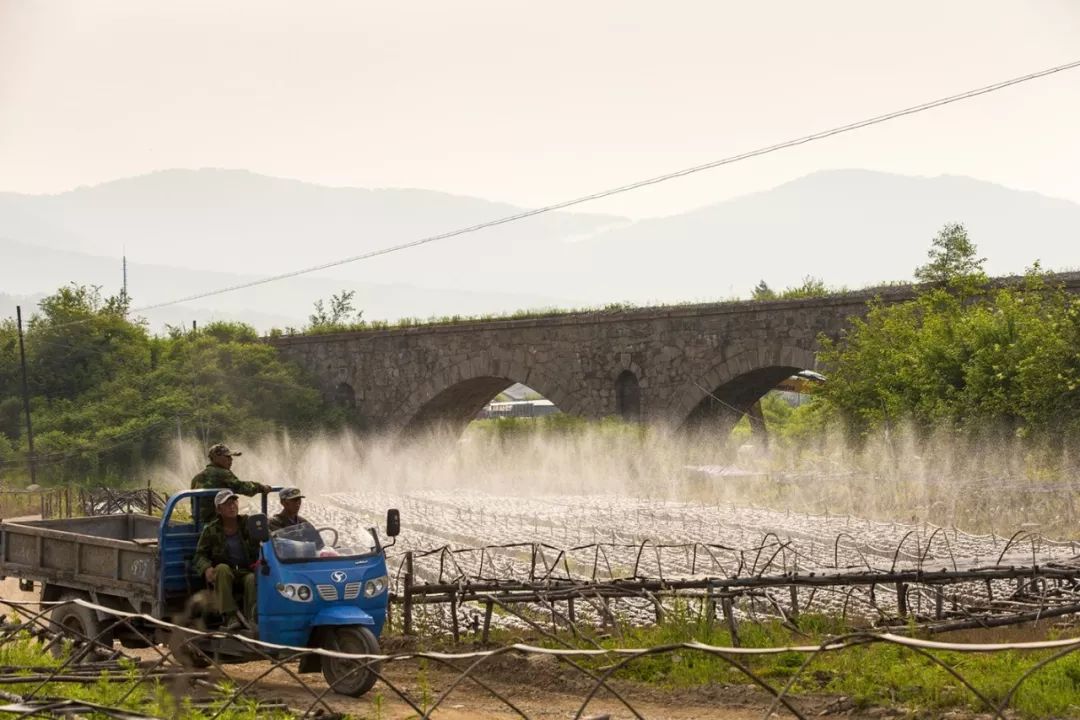2.5浜垮勾鍚庣殑鍦扮悆鍙樺寲,涓滃寳鐏北鎬庝箞鍙樻垚绮粨