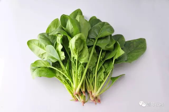 中医夏至养生知识大全,养生常识夏至养生有三忌