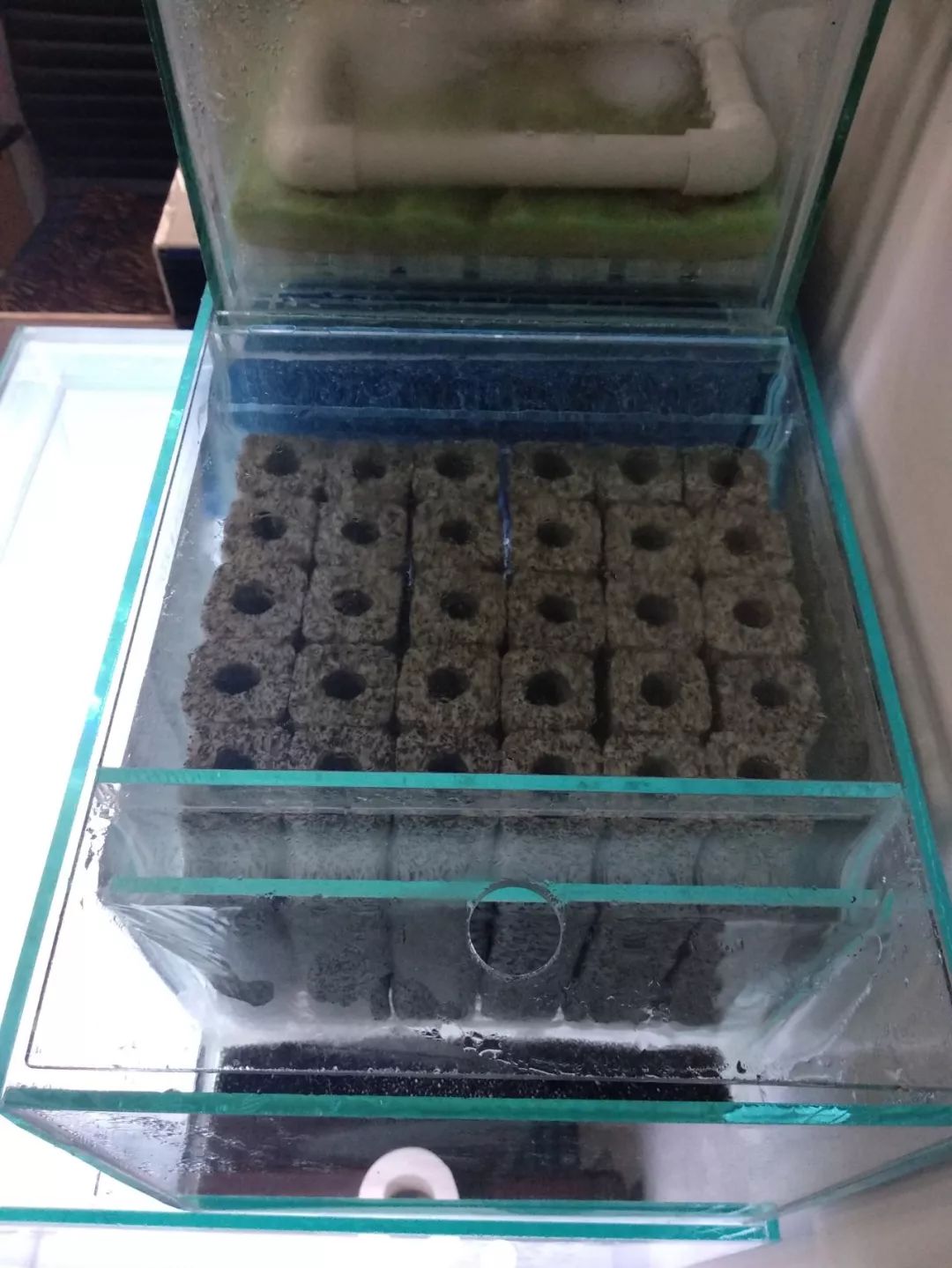 大神「鱼勇」DIY一缸多用“直播”教程，好缸无需再等