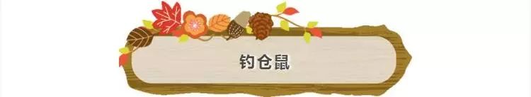 普通门票疯狂动物城,假期打卡疯狂动物城