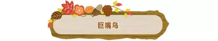 普通门票疯狂动物城,假期打卡疯狂动物城