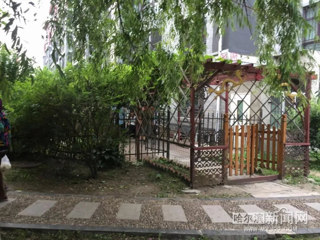 泰富长安城公共绿地被连片侵占丨举报36类”闹心事“#让陈年”烂账“见光死#