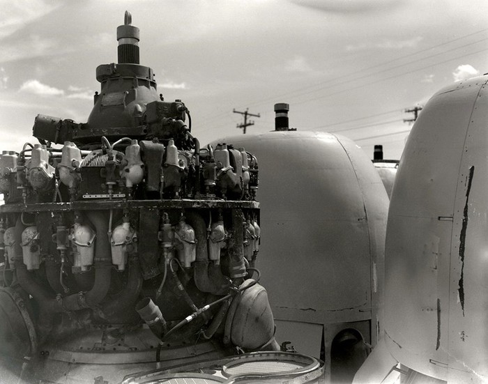 感光度160的过期胶卷,过期胶卷使用技巧