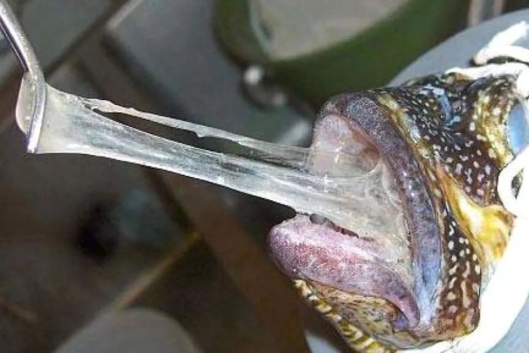 当一个东西黏糊糊的，这到底为了什么？