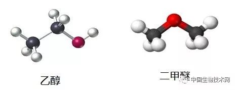 手性药物为什么分左右,怎么验证天然药物的手性