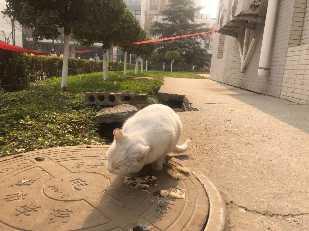 交大城院图片,交大城院在哪里