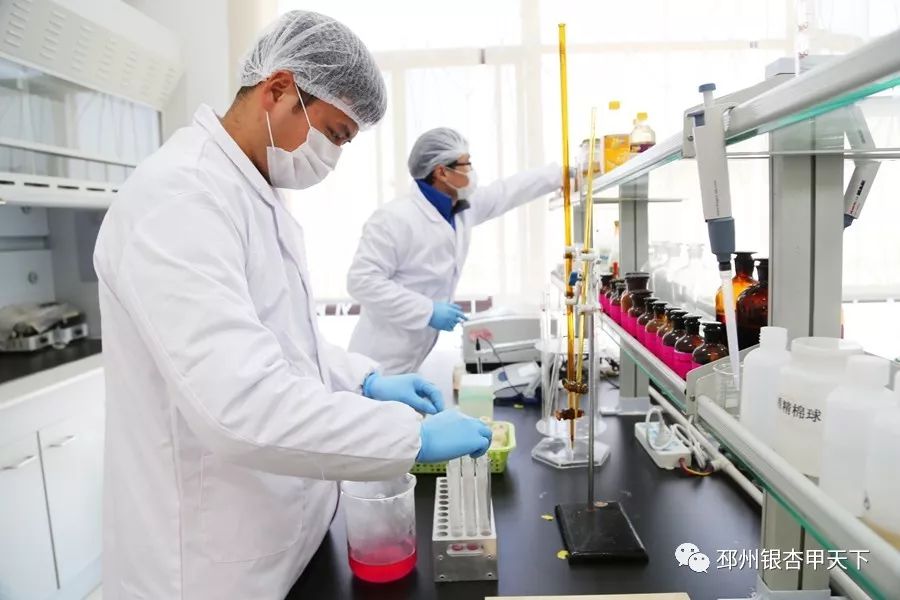 徐州邳州日报,邳州新闻资讯