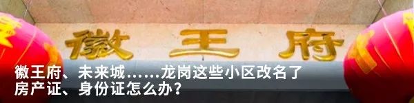深圳严查养狗合法吗,深圳市龙岗区养犬规定