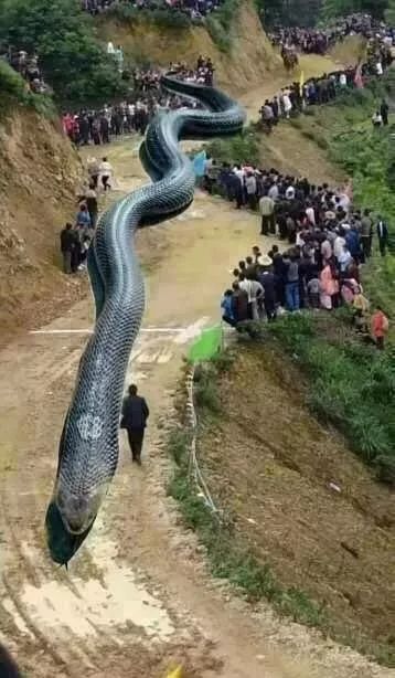 到现在才知道的5大谣言,6条你一定听过的谣言