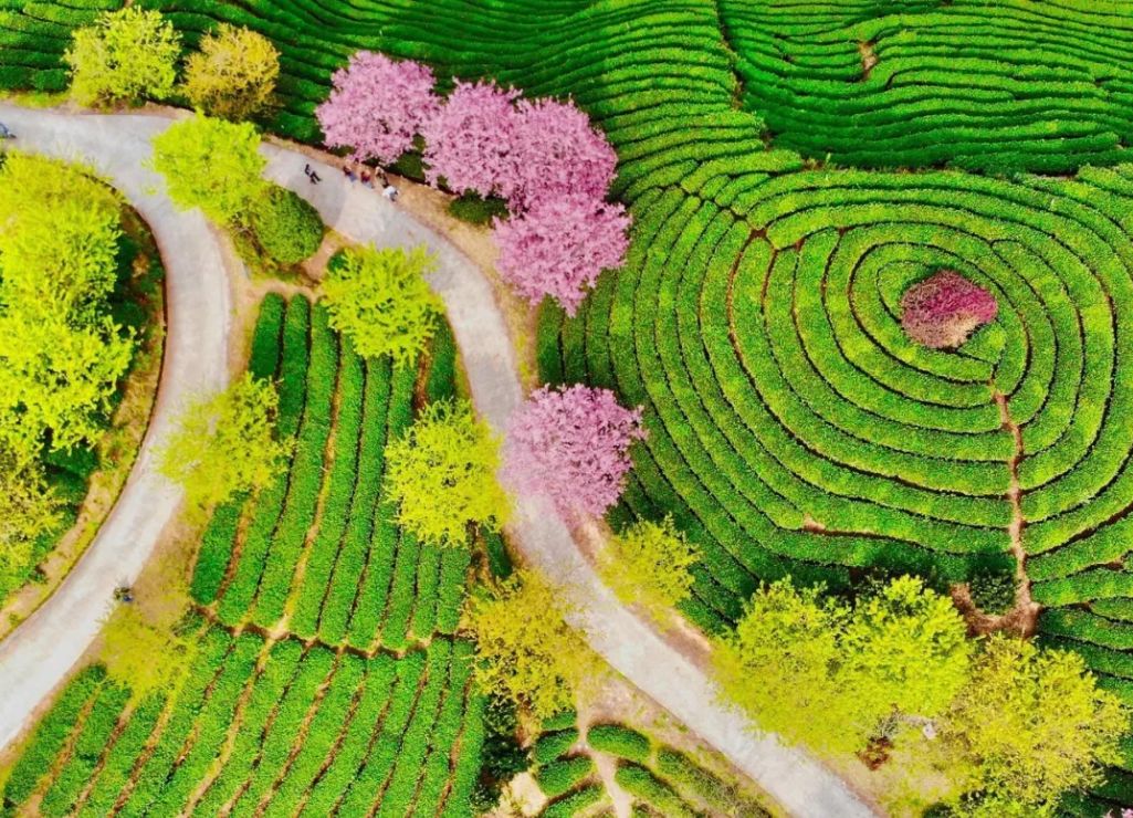 龙岩国庆旅游攻略一日游,龙岩新罗区国庆适合去哪里玩