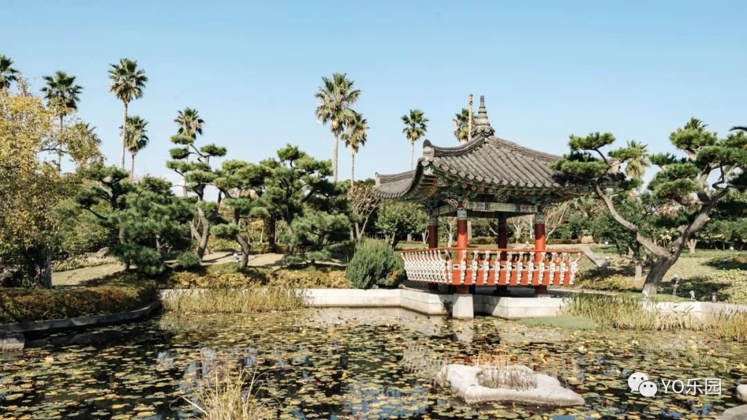 住帐篷一起看星星,住蒙古包看星星的地方