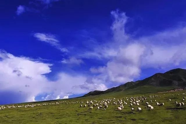 邳州广电直播间,邳州广电直播