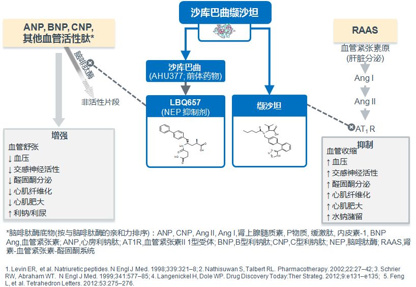 「2019CIHFC」高传玉教授：HFpEF诊断治疗新进展