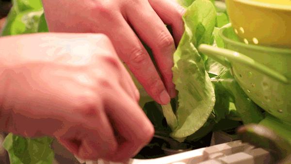 骞垮窞浜旀槦閰掑簵鑷姪鍗堥鎺ㄨ崘,鏂板鑷姪鍗堥