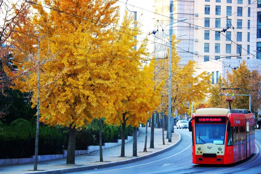 厦门青岛之旅,出行去厦门