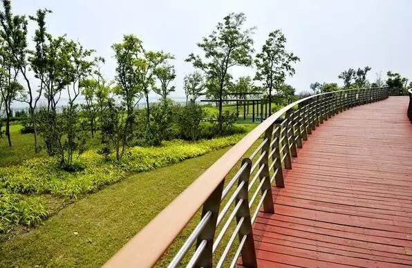 七月寻凉首选地！离上海车程仅1.5h，藏着座解暑小城！赏花赏水更赏情，藏着让人静下来的神奇魔力