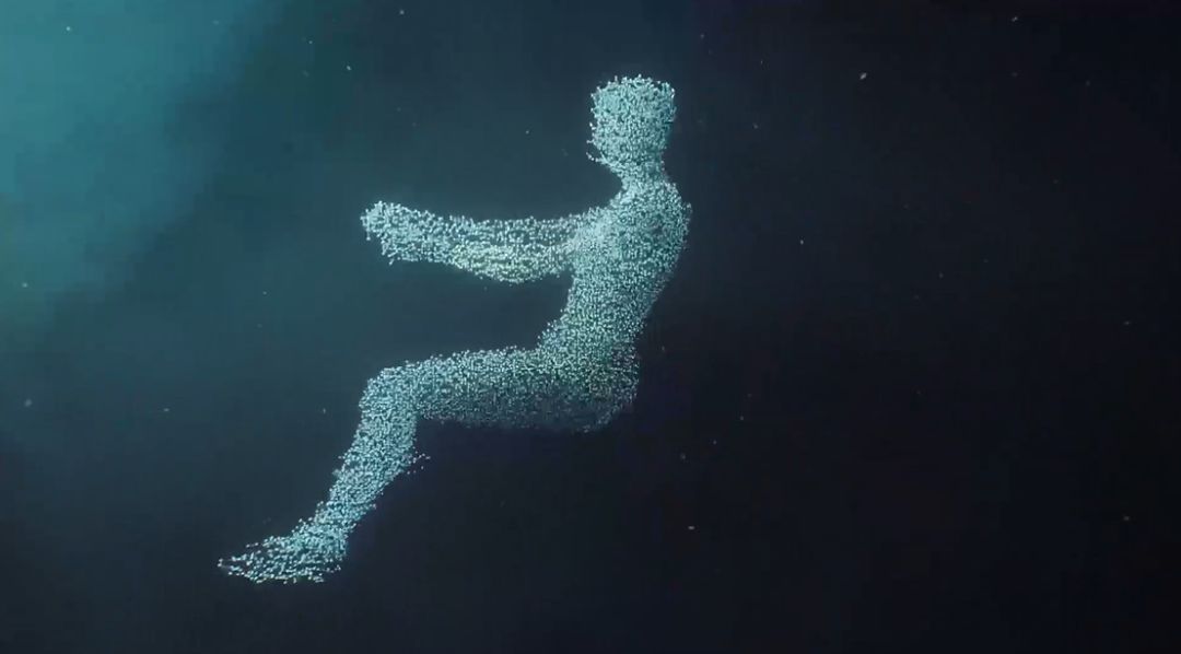 戛纳国际创意节综合报道|官方回顾，一文全览