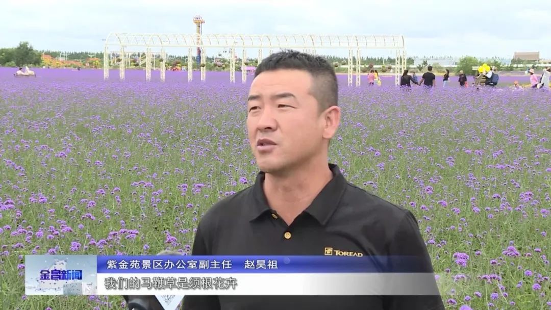 紫金苑风光无限,紫金苑景区花海