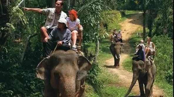 来西双版纳，做大自然的学生|雅居乐·西双林语夏令营开始报名啦