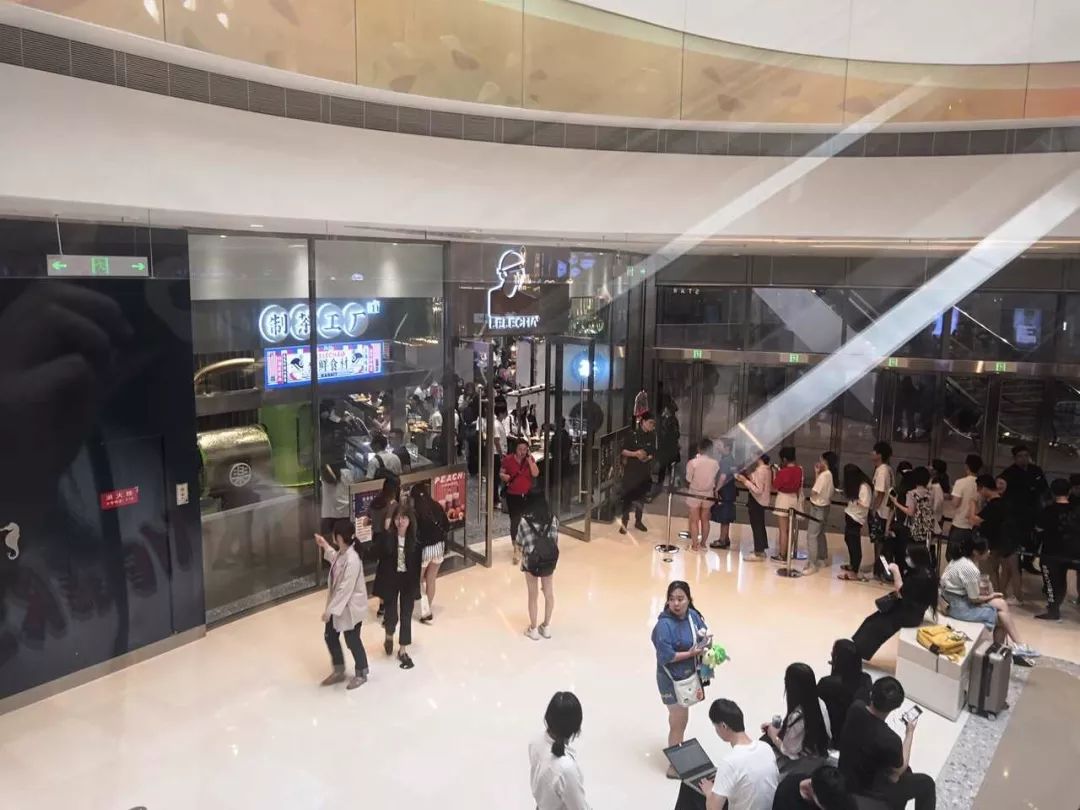 看呆！今天苏州中心排队3小时买杯乐乐茶！想问一句你们为什么不用上班