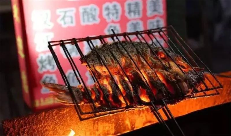 石泉|“鱼”生请多指教