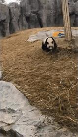 「信息快报」丽江一药店招聘销售，待遇丰厚，转正购五险…