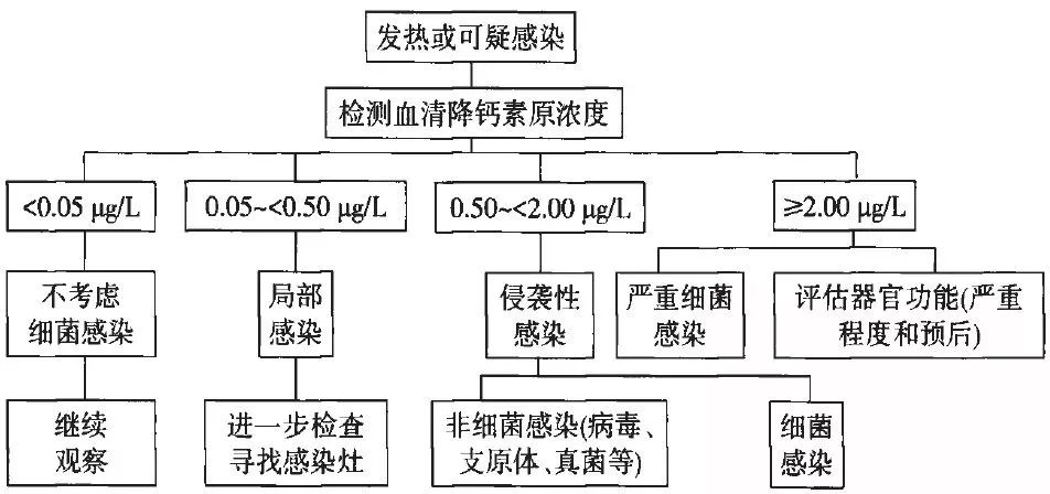 小孩降钙素原偏高如何查感染源,新生儿感染降钙素原指标