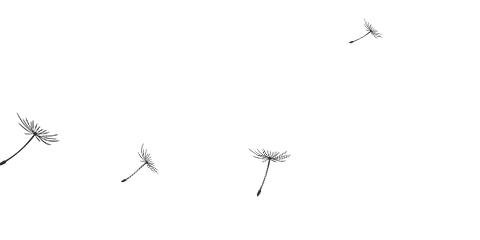 溧阳天然气最新通知,溧阳市燃气价格