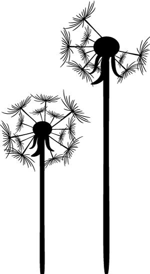 珊瑚裸尾鼠的介绍,珊瑚裸尾鼠为什么会灭亡