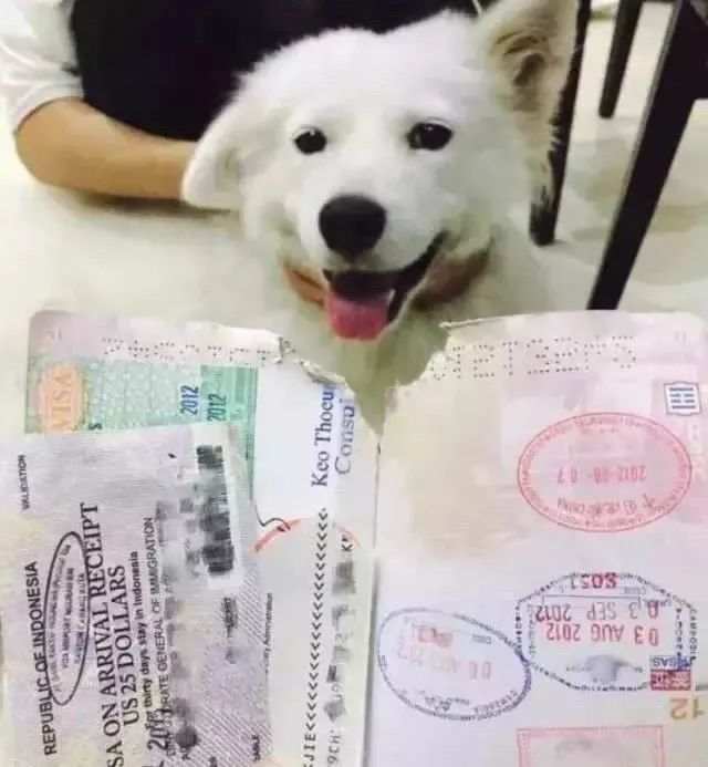 这个暑假你过得怎么样呢,这个暑假你过得怎么样