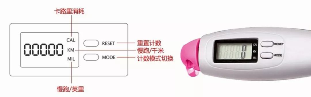 夏日瘦身减脂餐,减肥食谱一周必买清单