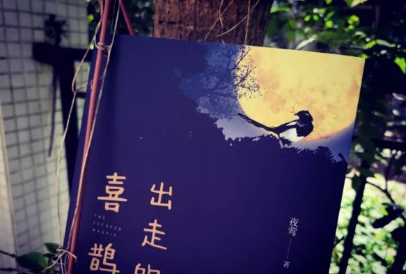 作者的编辑是干什么的,编辑都在干什么