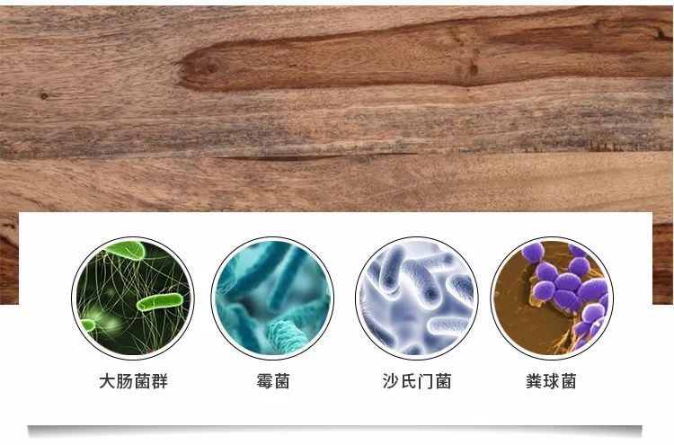 一冲一擦就干净如新,一冲就干净