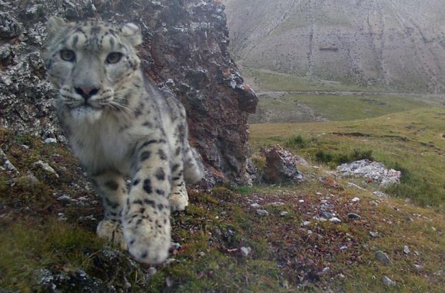 张掖的由来,什么是张掖