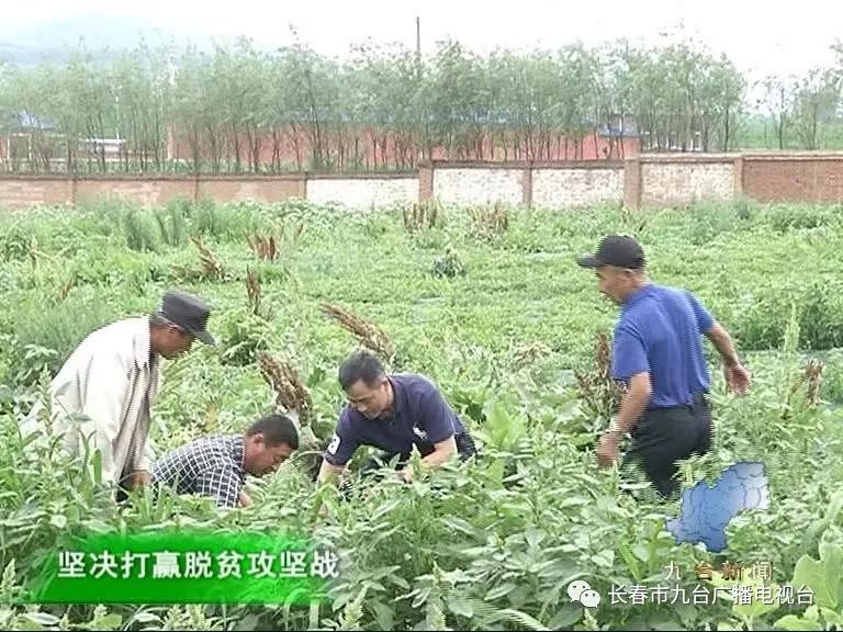 胡家乡红石村视频,胡家乡红石村最新视频