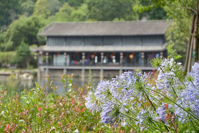 鑵惧啿鐑捣鏅尯鍏崄宀佸厤绁ㄥ悧,浜戝崡鑵惧啿鐑捣鍏洯鏅浠嬬粛