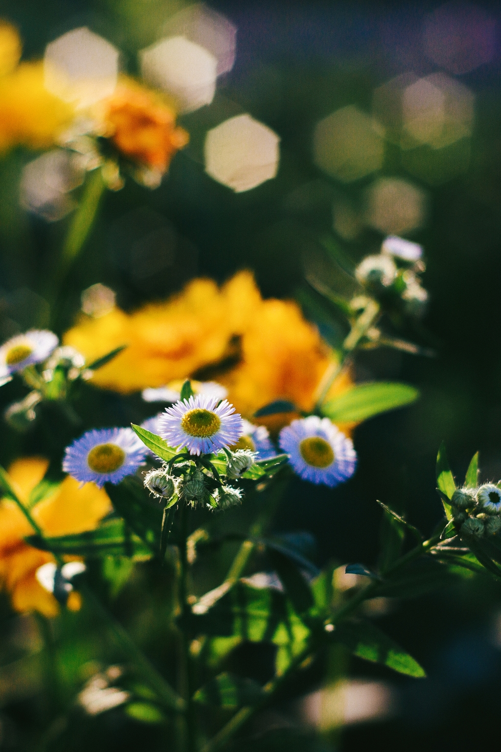 500元购买佳能m50,网购100元电脑开箱