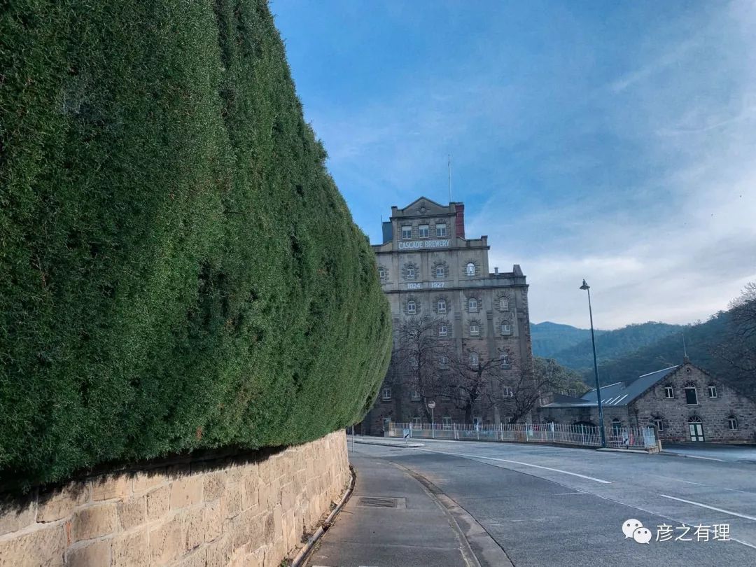 澳洲考拉奶粉好吗,澳洲龙虾奶粉