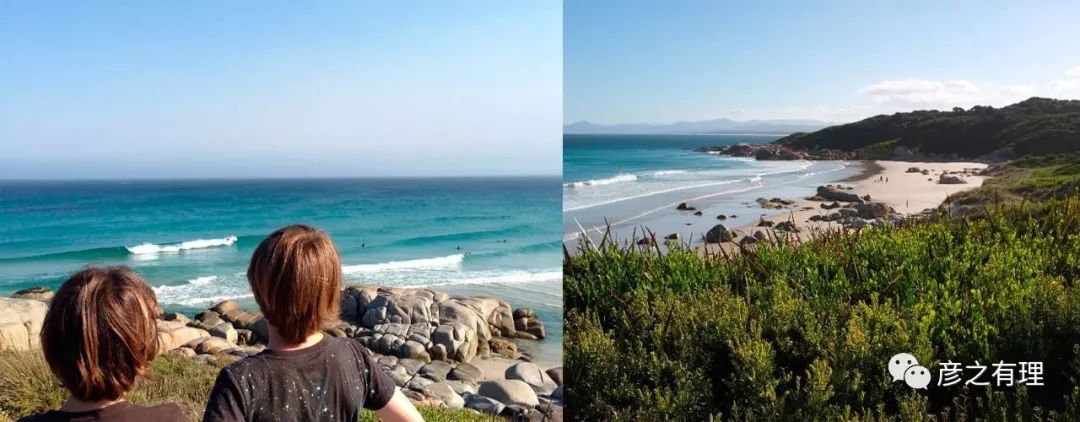 澳洲考拉奶粉好吗,澳洲龙虾奶粉