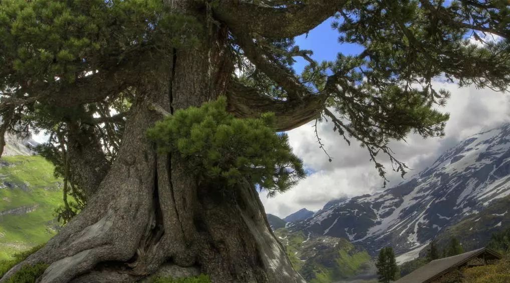 芳草地陈粒,芳草地国际学校富力又一城分校