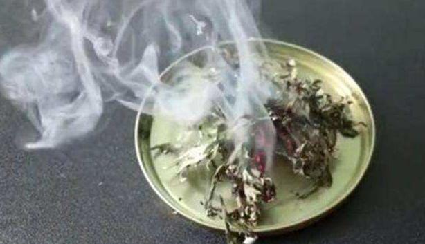 晚上睡觉蚊子多用什么驱蚊最好,晚上蚊子太多怎么驱蚊