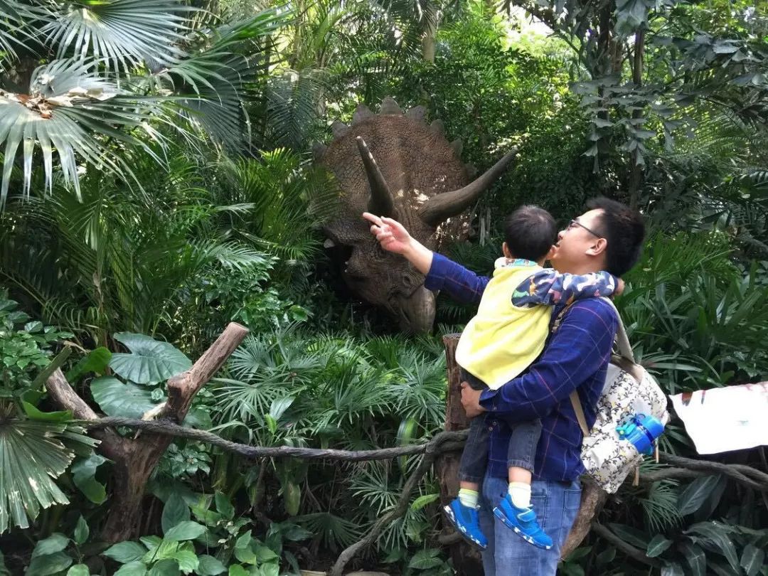 广州长隆动物园亲子游攻略三日游,广州长隆动物园游玩攻略