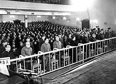 林彪、*青江**反革命集团案