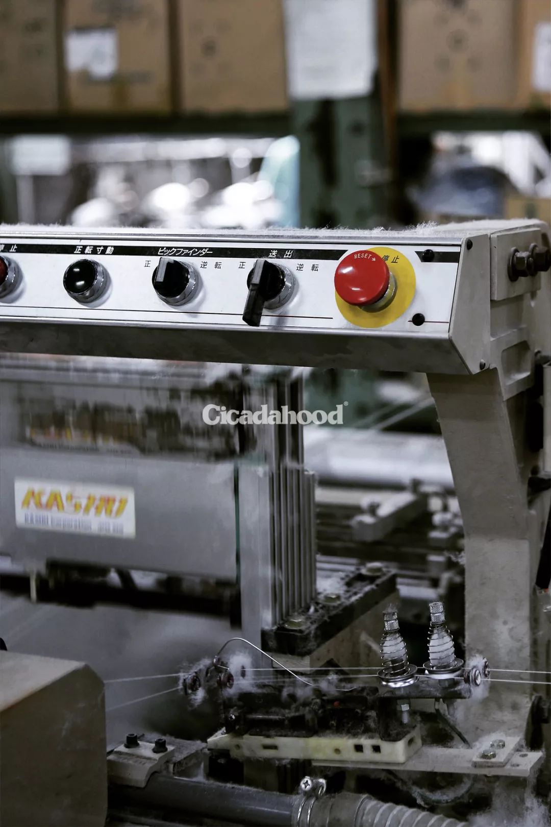 找对象看脸重要吗,恋爱不看脸找对象