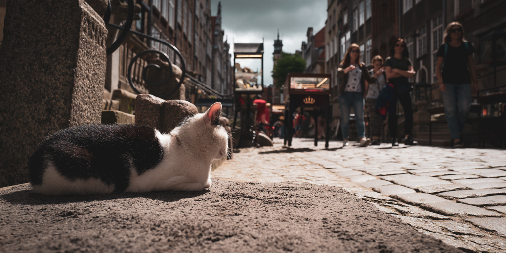 波兰什切青港口,波兰港口格但斯克冬季封冻期