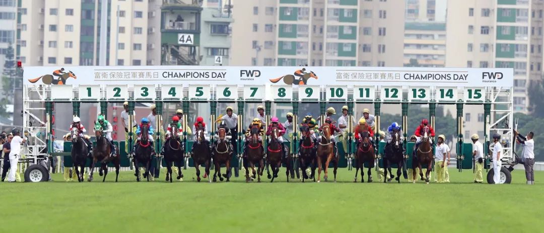 香港马匹比赛最高奖金,香港马拉松完赛1万奖金